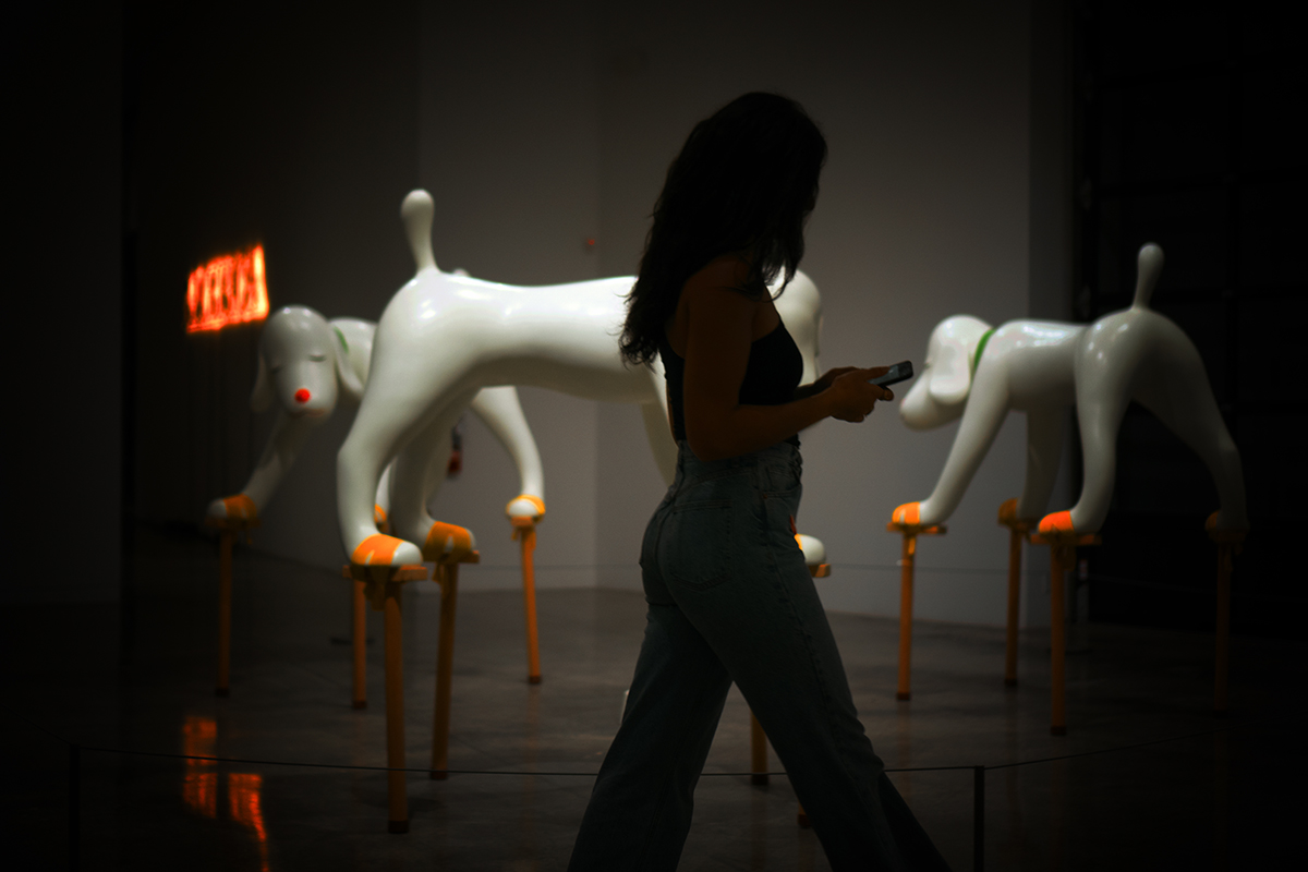 contemporary art at the Rubell museum