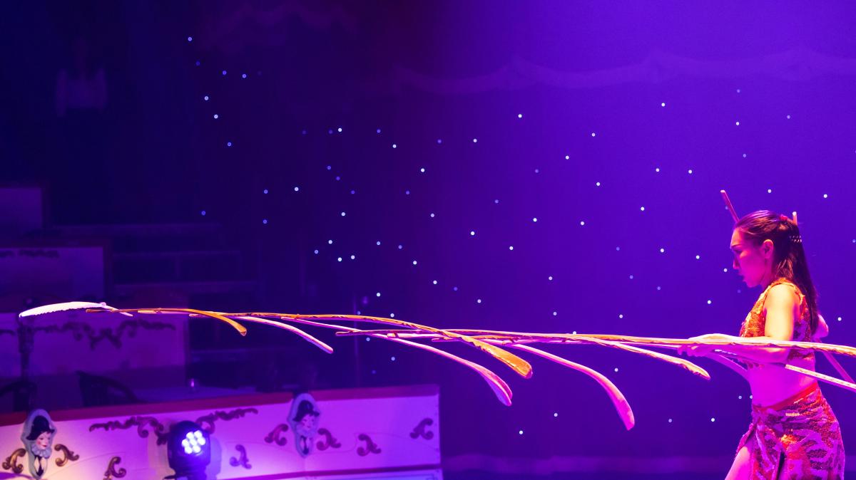 A performance of Circus Conelli in Zürich, Switzerland, photographed by Yannik Steiger