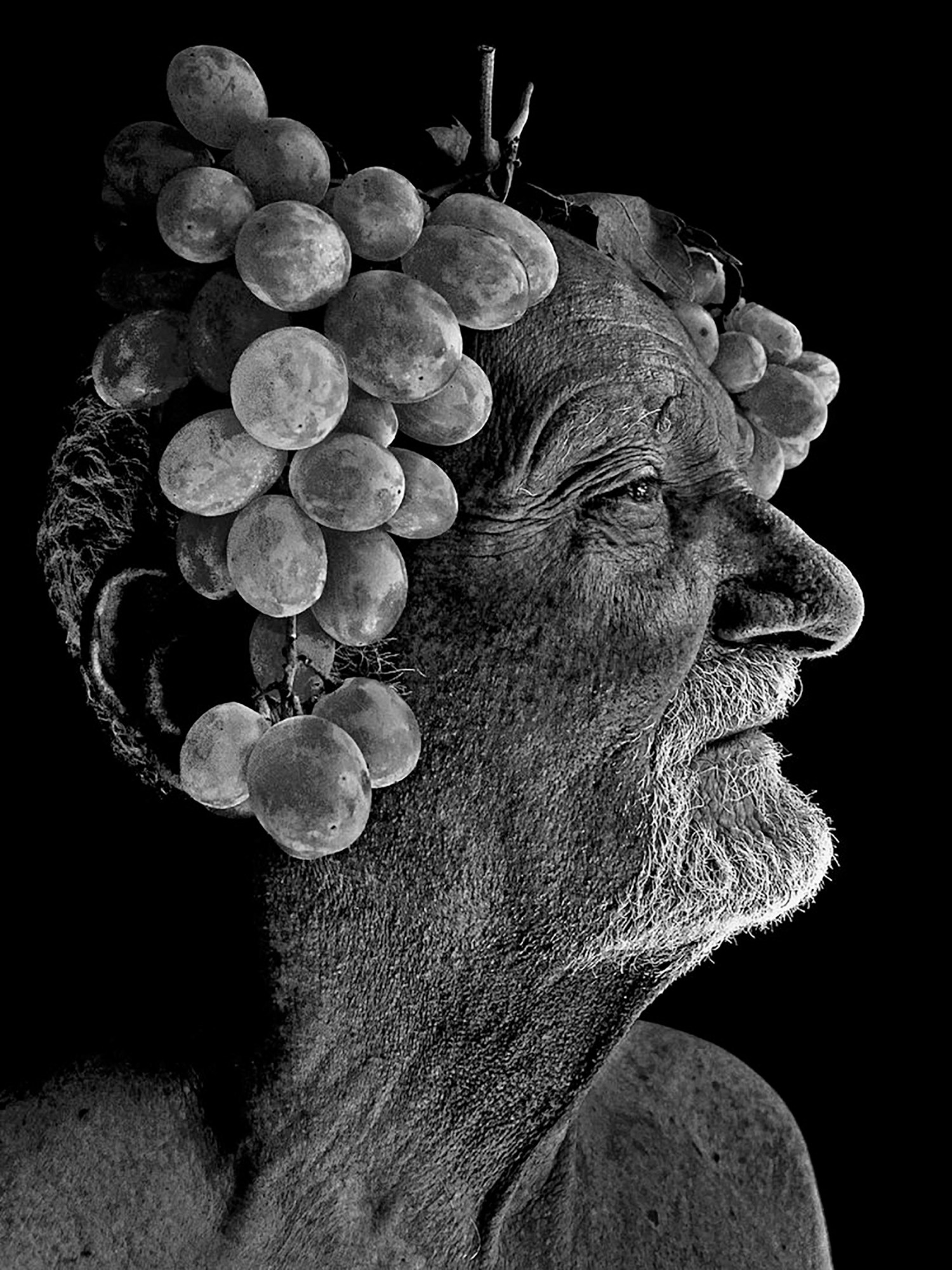 This image has an empty alt attribute; its file name is bacco-photo-datlas-erre.jpg