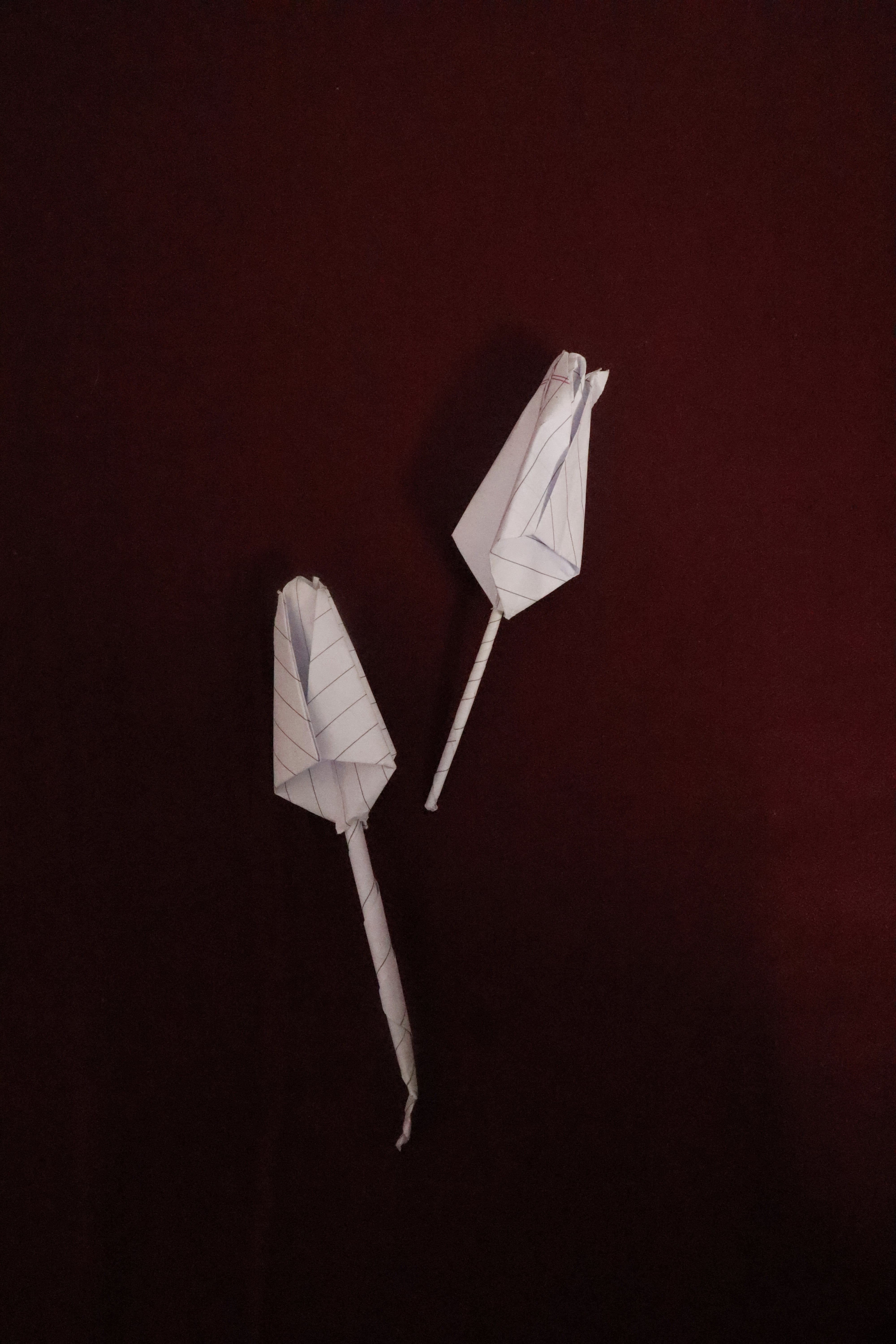 two flowers folded from paper