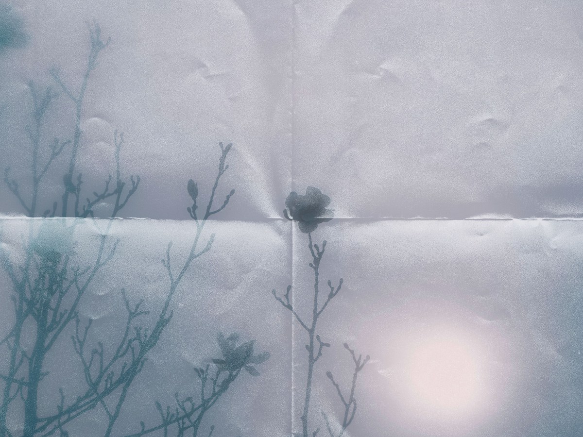 INNER STILLNESS