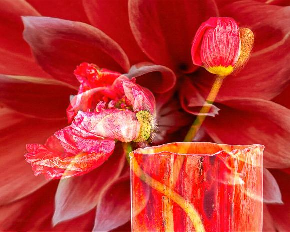 CERAMIC BLOOMS